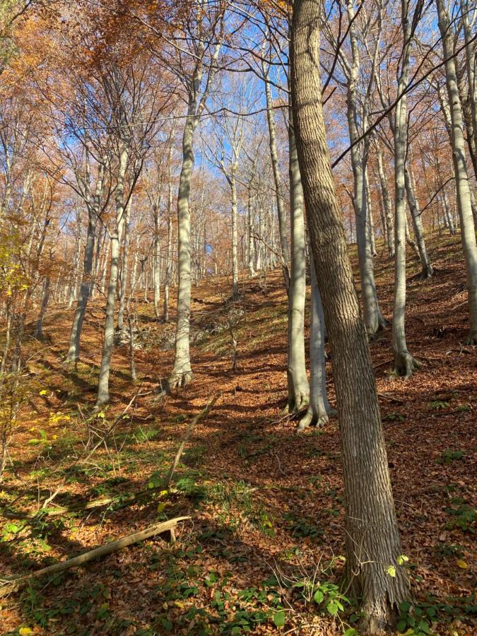 4Trees Holiday House Слуни Екстериор снимка